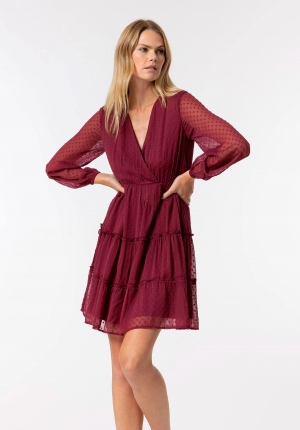 VESTIDO PLUMENTI GRANATE