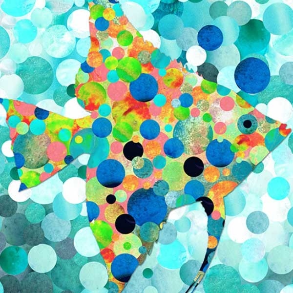 BLUSA BIG ANGEL FISH BLUSA BIG ANGEL FISH